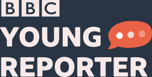 BBC News School Report
